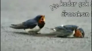 Ben O Eski Ben Değilim