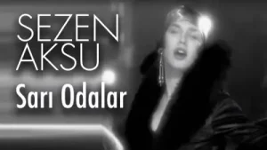 Ben Senin Hayatından Gittim Oğlum Albüm Kapağı