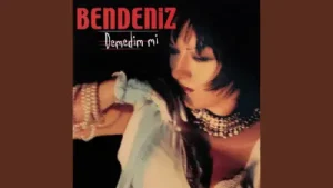 Bendeniz Demedim Mi Remix
