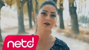 Benek Bilge Mazideki Günlerden Albüm Kapağı
