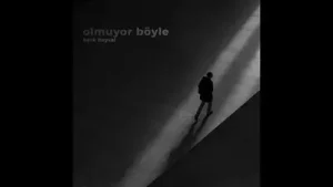 Berk Baysal Anlamazlar Albüm Kapağı