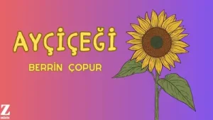 Berrin Çoğur Ayçiçeği Albüm Kapağı