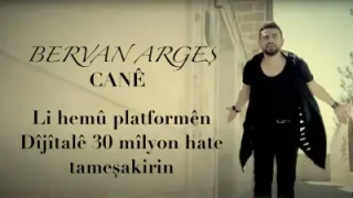 Bervan Argeş Cane