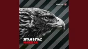 Beşiktaş Marşları Her Gün Beşiktaş Albüm Kapağı