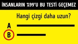 Beyin Gücünüzü Test Eden 7 Bilmece Albüm Kapağı