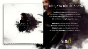 Bir Çaya Bir Sigaraya Albüm Kapağı