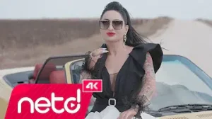 Bir Dilek Kaya Zirve Albüm Kapağı
