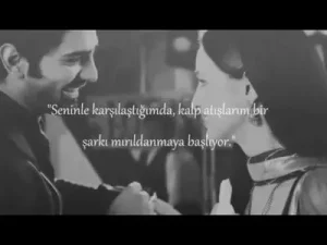 Bir Garip Aşk Dizi Müziği Albüm Kapağı