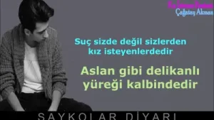 Bir Kızı Çok Sevmiştim Çağatay Akman Albüm Kapağı