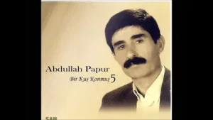 Bir Kuş Konmuş Albüm Kapağı