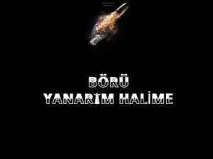 Börü Yanarım Ben Halime Albüm Kapağı