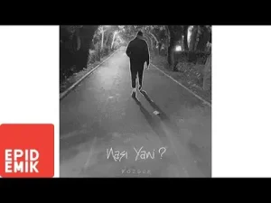 Bozgun Nasi Yani Albüm Kapağı