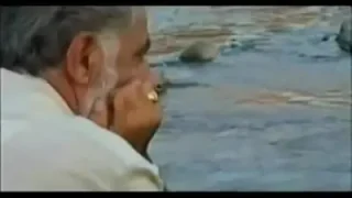 Brader Dema Tu Çu