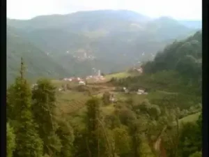 Bu Akşam İçeceğim Albüm Kapağı