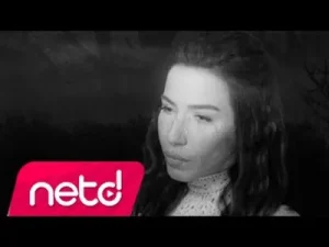 Burcu Güneş Birliğe Ulaş Albüm Kapağı