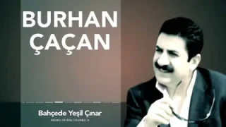 Burhan Çaçan Bahçede Yeşil Çınar