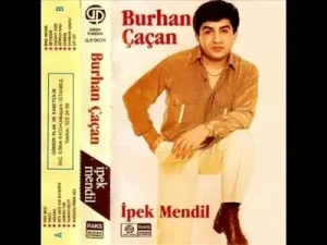 Burhan Çaçan Bilemedim