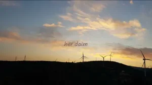 Can Asfuroğlu Her Daim Albüm Kapağı