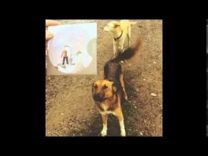 Can Kazaz Yok Albüm Kapağı