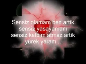 Can Tanem Albüm Kapağı