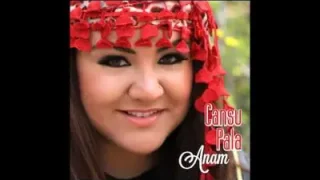 Cansu Pala Anam