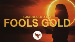 Caslow Fool’s Gold Albüm Kapağı