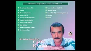 Cavit Karabey Sana Gelmek İstiyorum