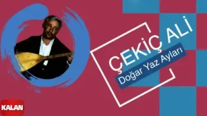 Çekiç Ali Albüm Kapağı