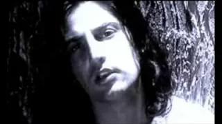 Çelik – Hercai