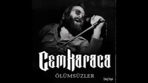 Cem Karaca Kavga Albüm Kapağı