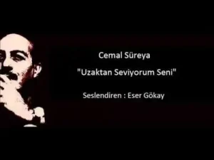 Cemal Süreya Uzaktan Seviyorum Seni Albüm Kapağı