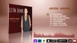 Çetin Demir Gelirsen