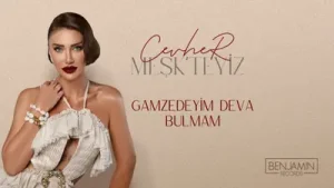 Cevher Gamzedeyim Deva Bulmam Albüm Kapağı