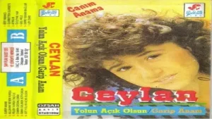 Ceylan Bir Yabancı