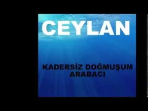 Ceylan Evim mi Var Albüm Kapağı