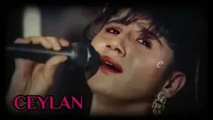 Ceylan Hep Ezildim Albüm Kapağı