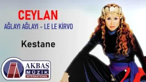 Ceylan Kestane Albüm Kapağı