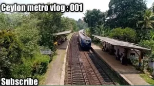 Ceylan Meyro Albüm Kapağı