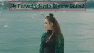 Ceylan Ne Feryad Edersin Divane Bülbül