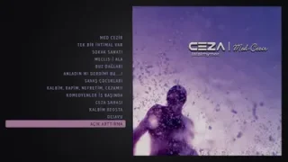 Ceza Açık Arttırma