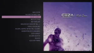Ceza Sokak Sanatı Albüm Kapağı