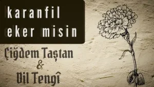 Çiğdem Taştan Dil Teng Karanfil Eker Misin Albüm Kapağı