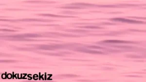 Cihan Mürtezaoğlu Dilek Şarkısı Albüm Kapağı