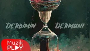 Çıkamadık İşin İçinden Derdimin Dermanı Albüm Kapağı