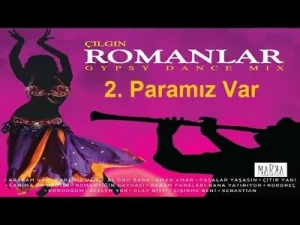 Çılgın Romanlar Paramız Var Romantik Erhan Albüm Kapağı