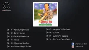 Cimilli İbo Taş Altında Karınca Albüm Kapağı