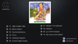 Cimilli İbo Taş Altında Karınca