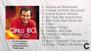 Cimilli İbo Yabani Arı Gibi