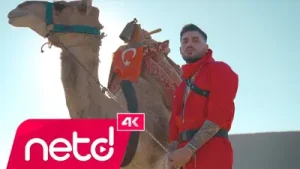 Cioman Yandı Gönül Albüm Kapağı