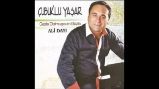 Çubuklu Yaşar Erik Dalı